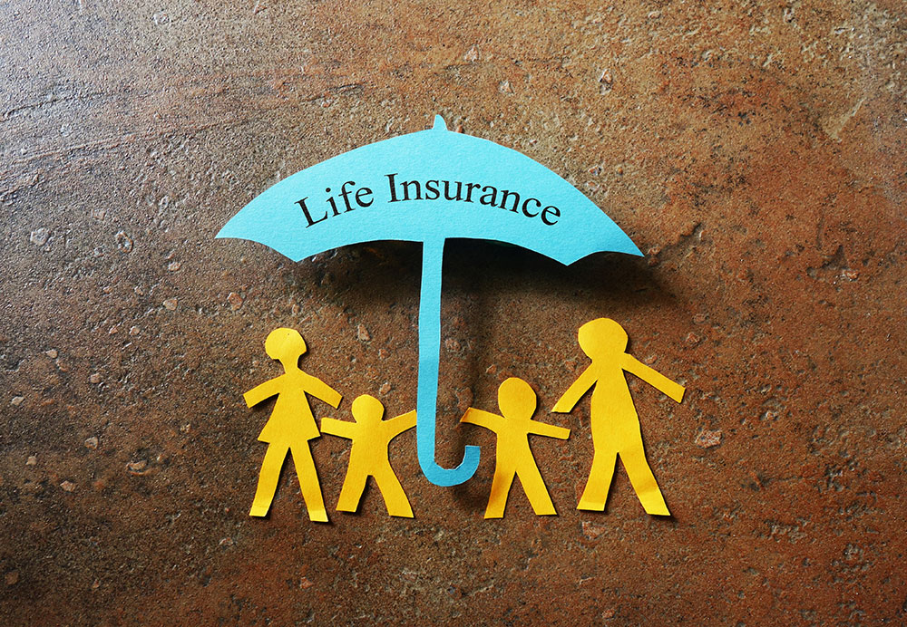 risk management - universal life insurance 