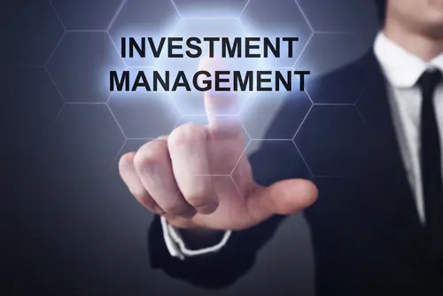 Investment Management - Hollander Lone
